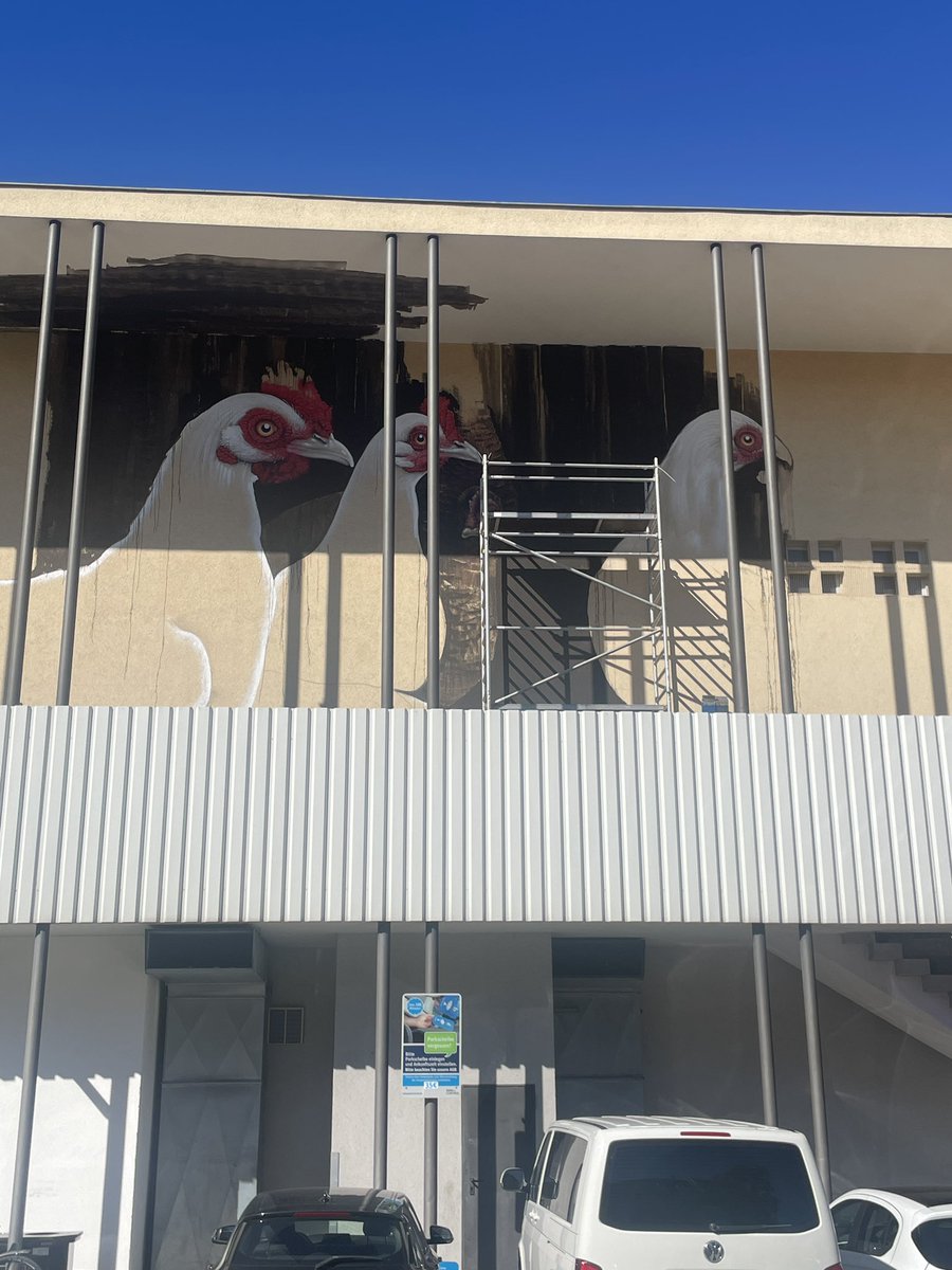 Dorin Popa tweet media