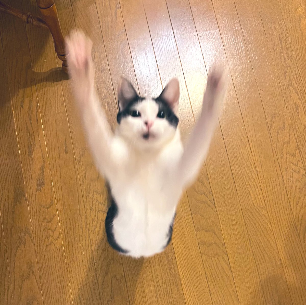 Oa1Un's tweet photo. シュワッチ〜💨 https://t.co/lzXAWcZTmX