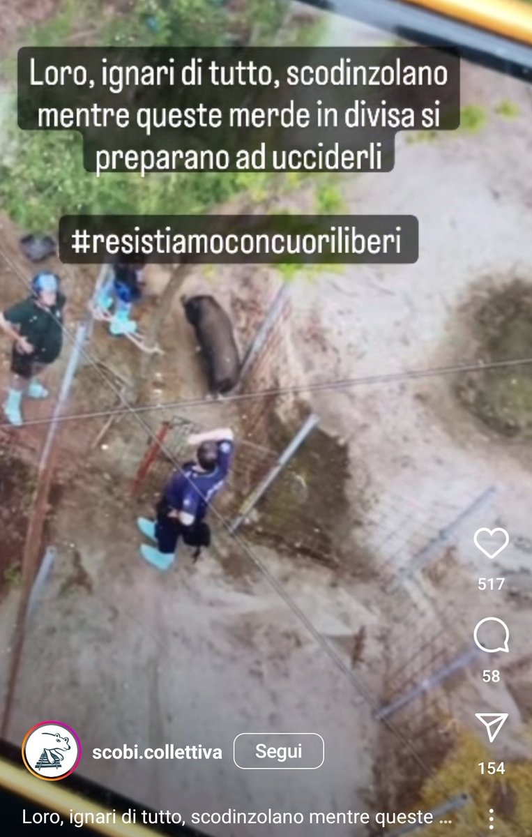 _Chiara_Mente_'s tweet photo. Li hanno ammazzati tutti.
Al rifugio #CuoriLiberi è finita. Aspettavano la colazione scodinzolando e invece hanno trovato la morte senza nemmeno un volto amico accanto. Ecco i loro corpi immolati per il vostro prosciutto. Vergogna.
https://t.co/SznheI9rW8 https://t.co/UhoI9pbqP4