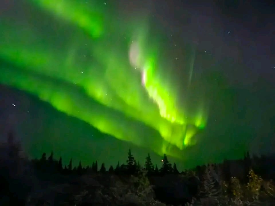 TimbitNews's tweet image. Northern lights spotted in Canada