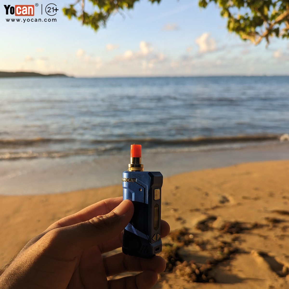 YocanTechnology's tweet photo. Best Of Joy

📸: u/ricardoood

Get more on https://t.co/6OQlQqKkrH
Learn more on our Youtube channel Yocan Tech

#yocan #thcflower #thcflowersonly #ᴛʜᴄ #thcwellness #thceducation #vapesexy #cbdflower #cbdflowers #cbdhemp https://t.co/JhuQefOHqy