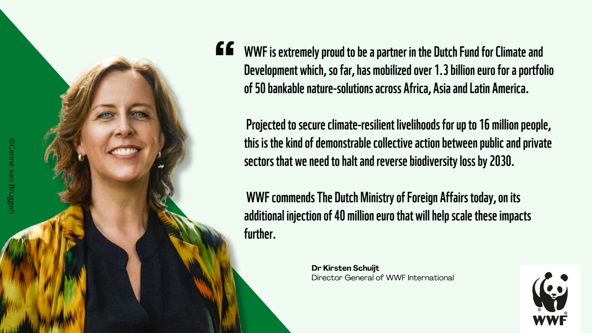 WWF's tweet image. 🤝🌱 Exciting News: we’re thrilled to share the latest from Dutch Fund for Climate &amp;amp; Development - a huge catalyst for innovative sustainable financing that will impact the lives &amp;amp; livelihoods of millions 👏

World leaders - look what’s possible! #UNGA #AgreementToAction