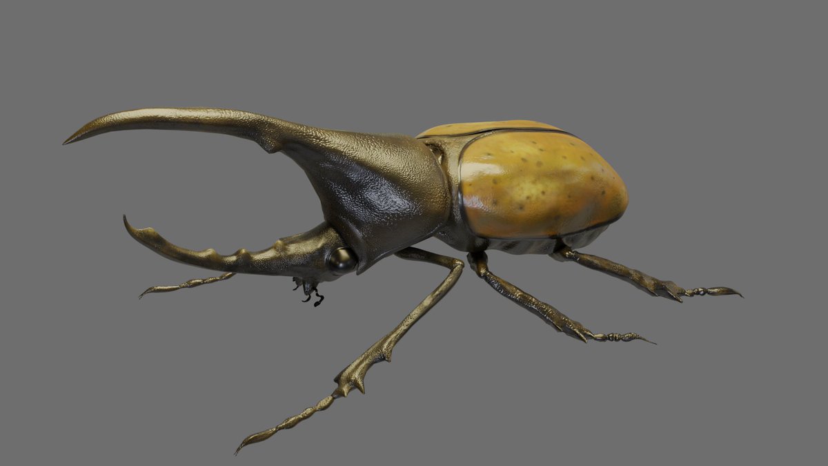 MarvinLeeeeeeee's tweet image. Udemy『【BlenderPerfectCourse】ヘラクレスオオカブト編』マテリアル途中まで。macからWindowsに移行中なので作業に四苦八苦。windowsキーがcomandキーの場所にあり邪魔すぎて、キーボードぶん投げたい衝動にかられる。
#blender
#r3d