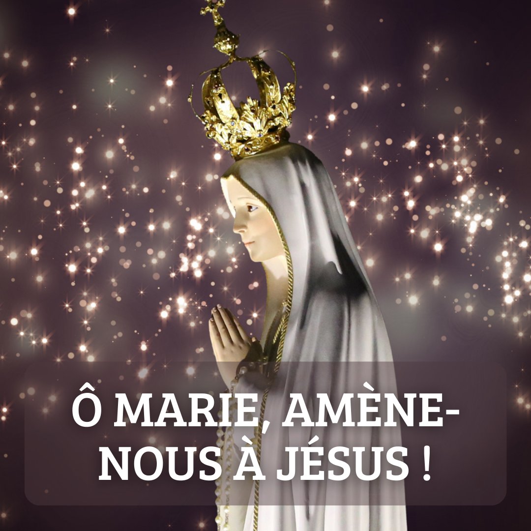 Je dépose ma prière aux pieds de Marie ici : bit.ly/mon-intention-…. Un priant du Chapelet pour le Monde priera spécialement pour cela.
