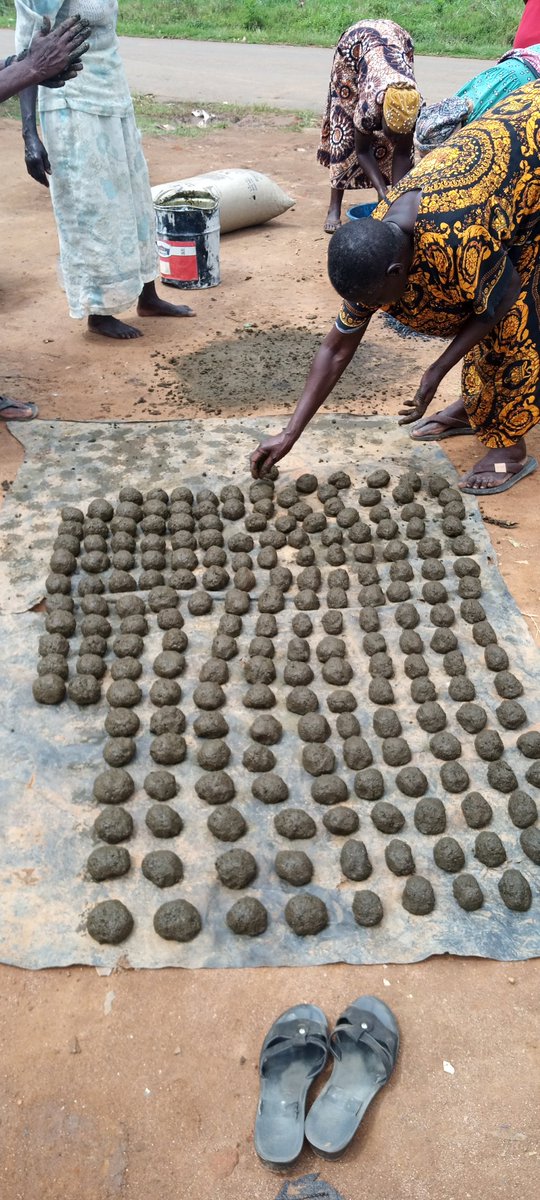 wopaorg's tweet photo. We use innovative ways to create impact through environmentally friendlypractices to reduce climate change impacts to the environment,reduce pollution and landdegradation.
Training rural women in making carbonized briquettes for domestic use and entrepreneurship. @VioletOmbaka https://t.co/w3wkzfqmQP