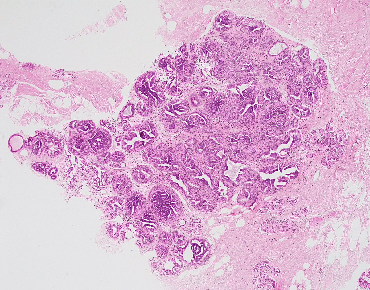 Fouad Boulos tweet media