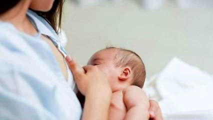 ADPHUK's tweet photo. This #NationalBreastfeedingWeek we have published our new Best Start in Life position paper. 

Our recommendations for supporting every child to have the very best start in life include calling for a long-term plan to change the culture of breastfeeding➡️https://t.co/Wwqr1F5t2b. https://t.co/lF1KuXp3V6