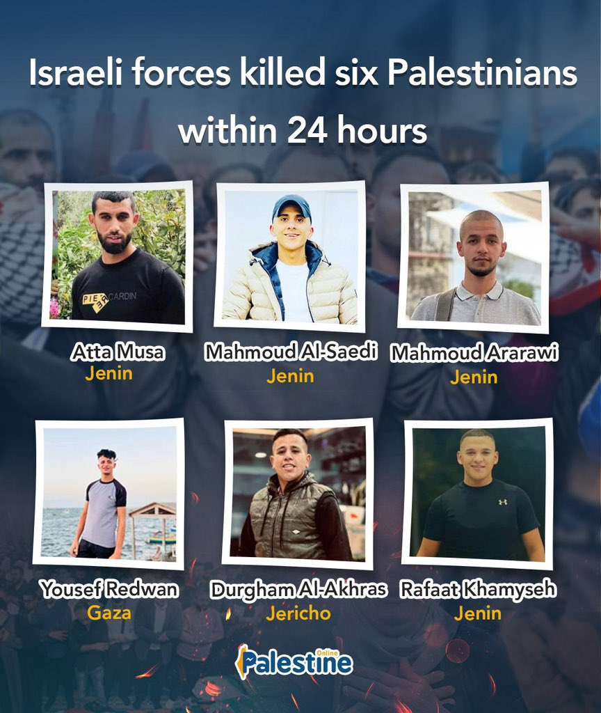 PALESTINE ONLINE 🇵🇸 tweet media