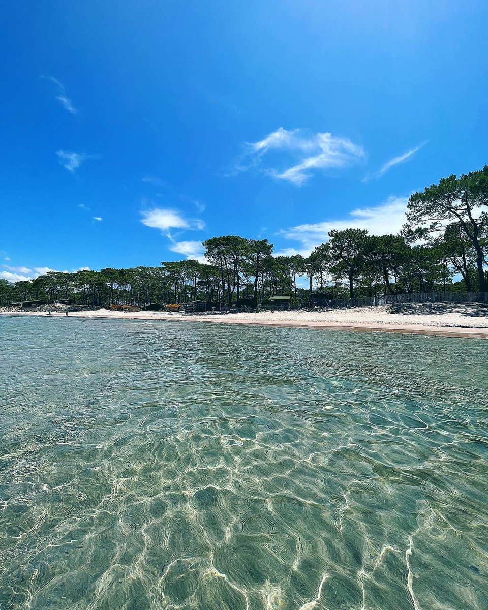 otcalvi's tweet photo. Un jour, une photo... Des plages paradisiaques aux allures tropicales... 🌊
📷 @corsican_lovers
#beach #mer #stonde #sea #calvi #balagne #plage https://t.co/0f9ag0m5ZP