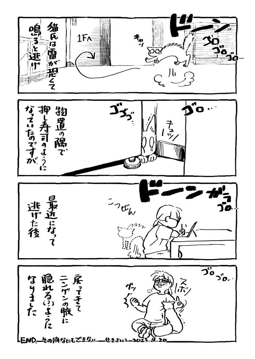 雑日記
腋を拒否すると背中におでこをグイグイ押し付けてくるのでいとかわゆし。 