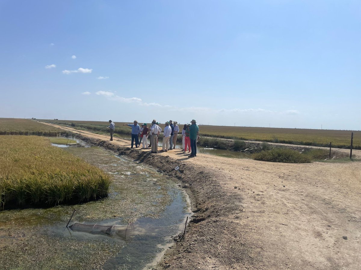 🌾 En las jornadas de NutriRice 2023 en Doñana, tuvimos el honor de recibir a autoridades, productores y expertos agrícolas. ¡La emoción estaba en el aire! 💪🌱 #NutriRice #Doñana