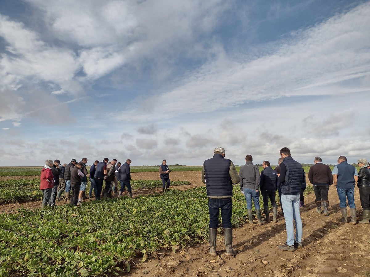 Une rencontre enrichissante entre tous les acteurs du monde betteravier, au coeur d'une Ferme Pilote d'Expérimentation du #PNRI 
Merci aux intervenants et agriculteurs présents 🌱
<a href="/ITB_CVLetIDF/">@ITB_Centre Val de Loire / Ile De France</a> <a href="/ghismalatesta/">Ghislain malatesta</a>