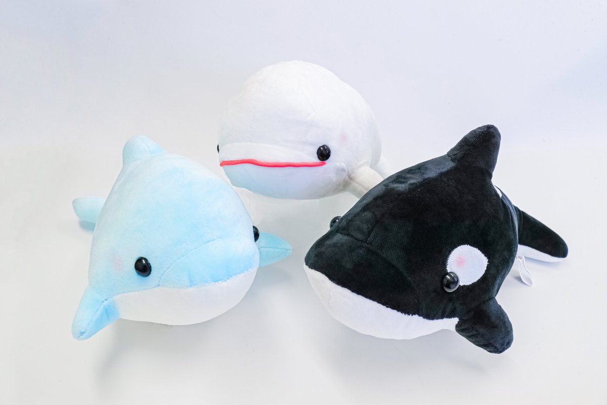 エコアクアローム棟の屋外で販売中のぬいぐるみくじ「Seaロト」。1回