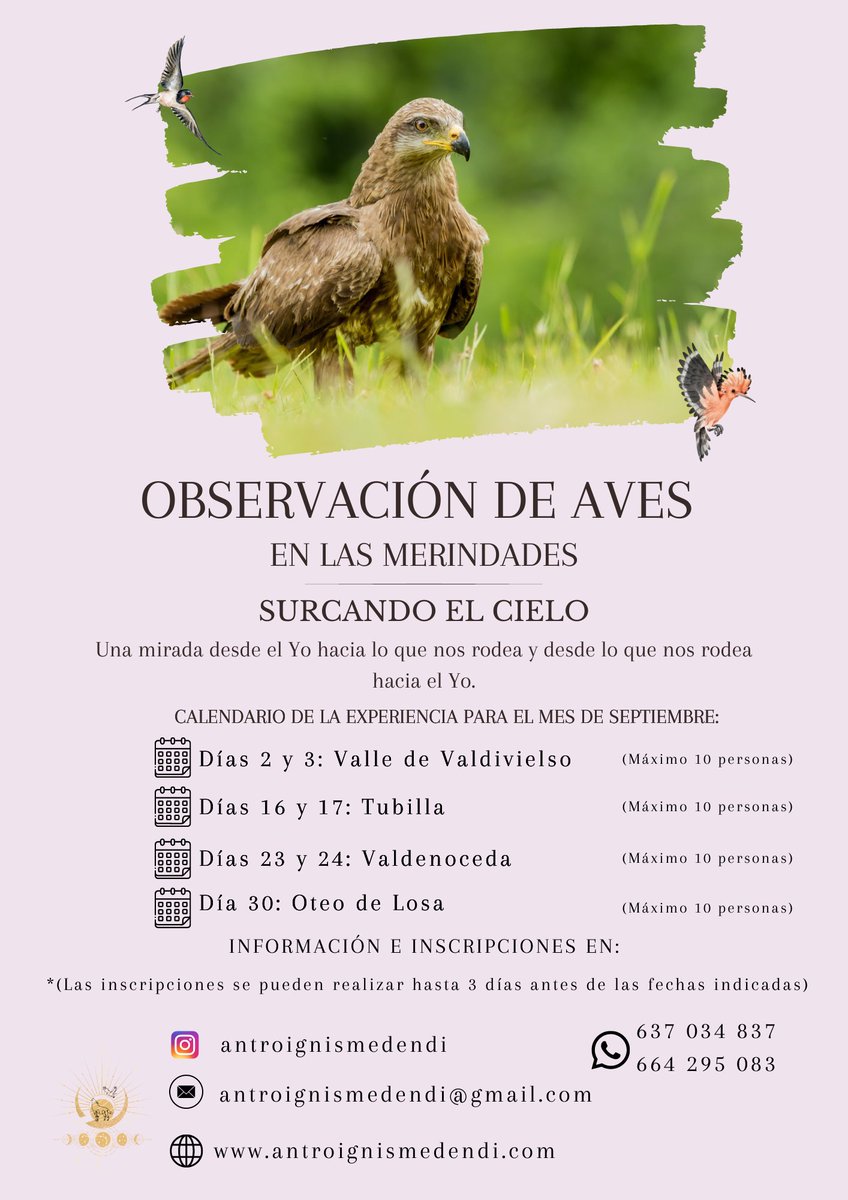 🦅 SURCANDO EL CIELO 🦅
Observación de aves en Las Merindades 

📆 Sábado 23 y domingo 24 de septiembre 
🕗 De 9h a 13h
🧭 Valdenoceda

#Valdenoceda #aves #Merindades #merindaddevaldivielso