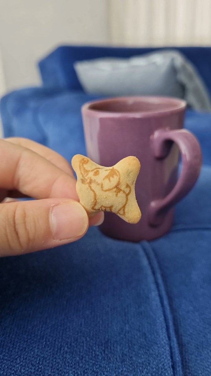 Mor ve fil aynı karede 🥹🐘💜