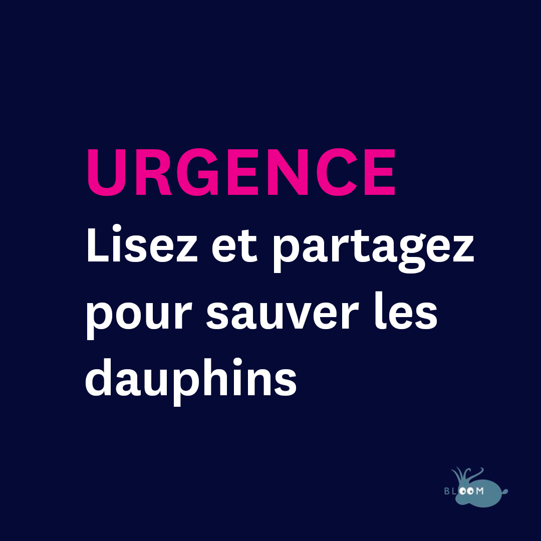 Claire Nouvian tweet media