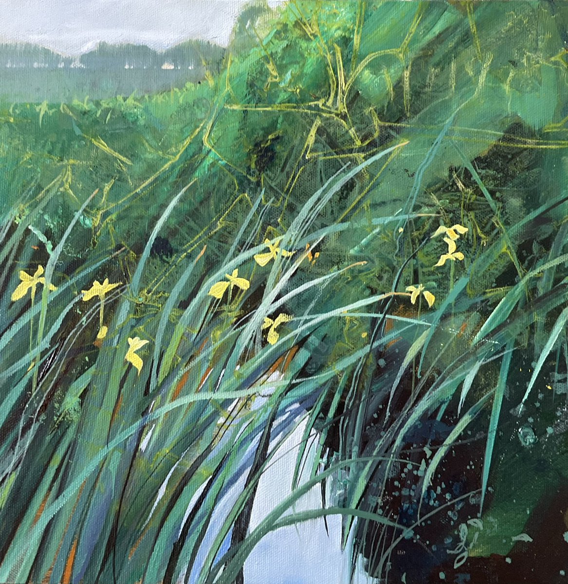 LornaKirin's tweet photo. ‘Yellow Flags’
Oil on board
12 x 12 inches

#lornakirin #painting #contemporarypainter #oilonboard #ukartist #oil #mindfulness #light #water #iris #pond #yellowflag https://t.co/WxXlxlRSvl