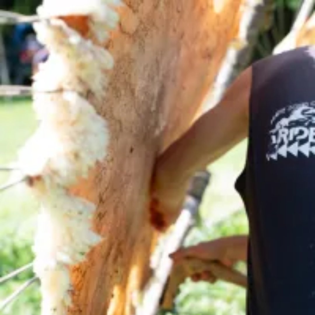 MomentMagazine's tweet image. Hand-dipped beeswax Shabbat candles, tied tzitzit, and tanned hides were just a few of the crafts at Melacha U’vracha, a recent Jewish crafting gathering. Click the link in our replies for more from @writingkraft.