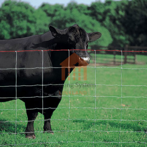 wangxu667886's tweet photo. Our cattle fence mesh is made of high-quality steel wire material, carefully woven and welded to ensure its sturdiness and durability. The mesh size of cattle fence netting is precisely calculated to prevent livestock from escaping while providing good visibility and ventilation https://t.co/qHYNj4e1Mg