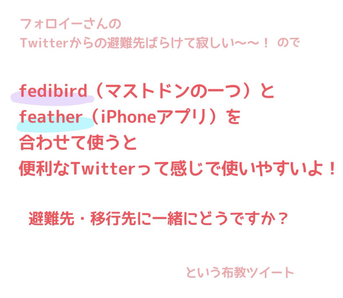 まめ@低浮上 tweet media