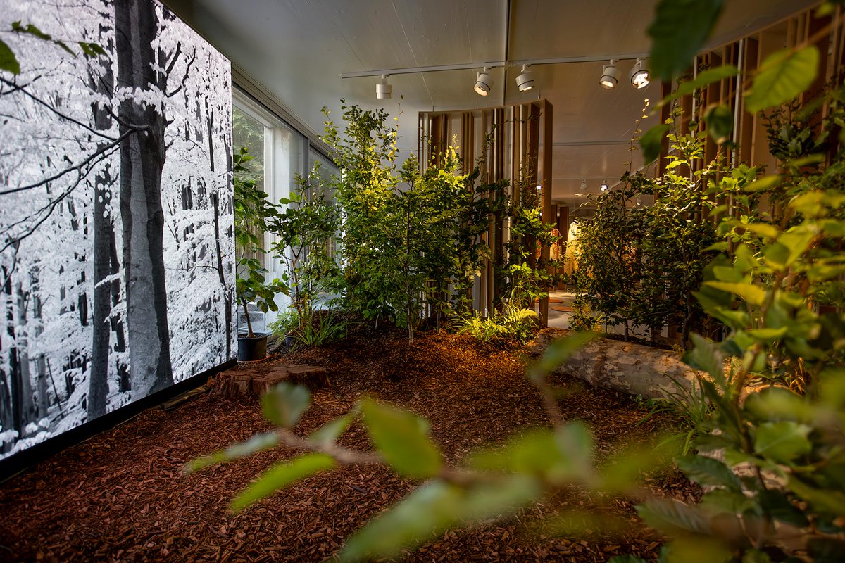 The interactive exhibition "Experimental Ecology" <a href="/kbhgeiger/">Kulturstiftung Basel H. Geiger</a> deals with the ecological challenges of our time. It addresses the topics of ecology, biology and climate research.🌍 #thisisbasel #exhibitions 

More information: basel.com/de/veranstaltu…