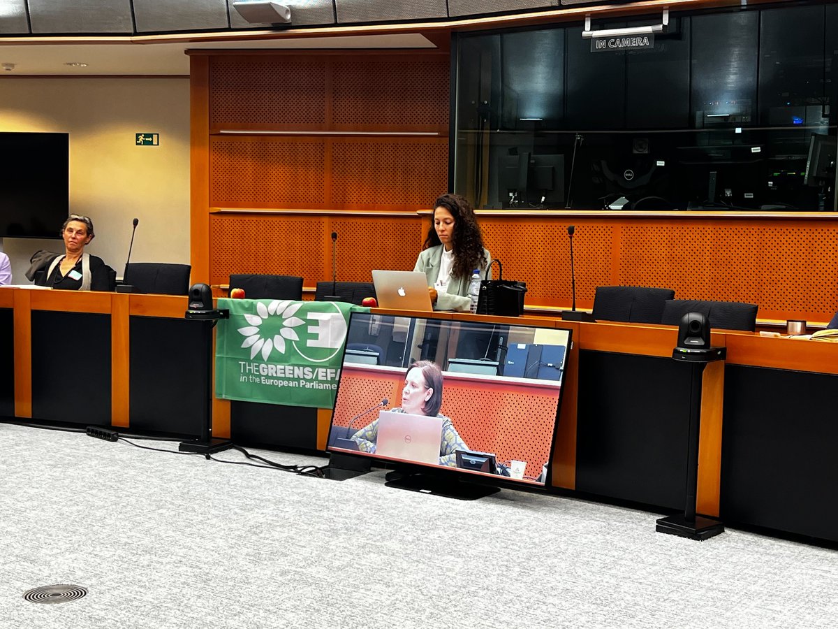 Today, we continue our Catalysing Communities European Conference at the European Parliament, Brussels ✊

@resilienceearth
@orladesign_coletivo
@projectonovasdescobertas
@palmanana_coop
@comm_catalysts
@_francisco_guerreiro_ 
@europeanparliament
