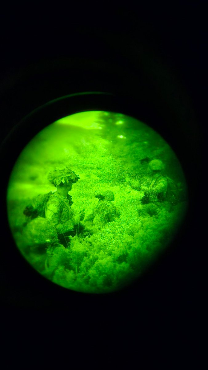 4 PWRR Tigers tweet media