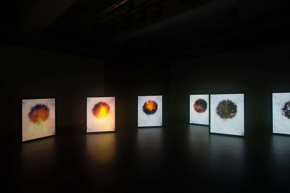 Cultures of (@culturesof_) on Twitter photo Take refuge from the 🌬️⛈️ in the Bath House Galleries (📍hud.ac/qeq <a href="/AHHuddersfield/">A&H Uni Huddersfield</a>) and spend some time with 'Field Studies - Land Body Botany' the now exhibition by <a href="/YanWangPreston/">Yan Preston</a> & Monty Adkins 🟡 open 10 - 3 daily & until 8pm on 21st September for Thursday late Take refuge from the 🌬️⛈️ in the Bath House Galleries (📍hud.ac/qeq <a href="/AHHuddersfield/">A&H Uni Huddersfield</a>) and spend some time with 'Field Studies - Land Body Botany' the now exhibition by <a href="/YanWangPreston/">Yan Preston</a> & Monty Adkins 🟡 open 10 - 3 daily & until 8pm on 21st September for Thursday late