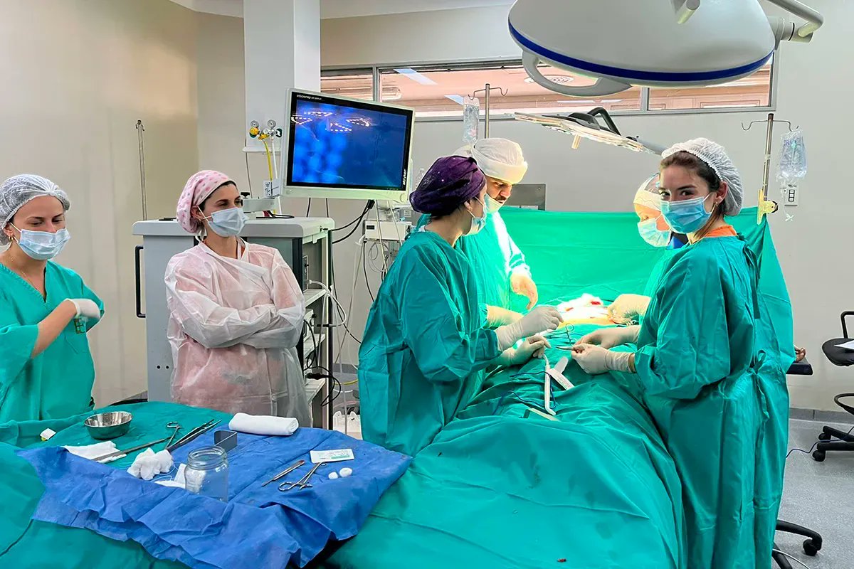 🧑‍⚕️ Maratones quirúrgicos: una iniciativa bonaerense para aliviar al sistema de salud.

✍ <a href="/rittapok/">Rita</a> | bit.ly/45WKhaM