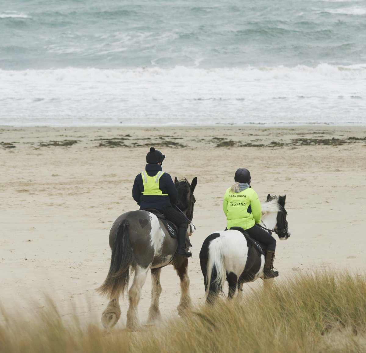 The British Horse Society have special permission to run a Ride Out event at @NTFormby today from 10am to 5pm. Thank you for being mindful of riders throughout the day and keeping dogs under close control.