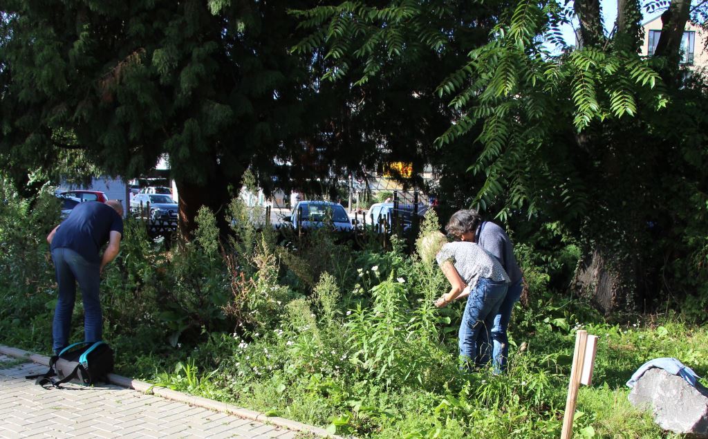 🔎Bewährungsprobe für den neu entwickelten Leitfaden &amp; das Workshopkonzept vom Insekten-Check, einem Projekt von <a href="/VHSBonn/">VHS Bonn</a> und <a href="/wila/">wila</a>, gefördert vom Kulturministerium NRW. 🐝🦋🐞🪰

Das Feedback der Checker*innen: 👍 
Wir freuen uns! #Biodiversität