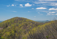 Georgia Association of Historians tweet media