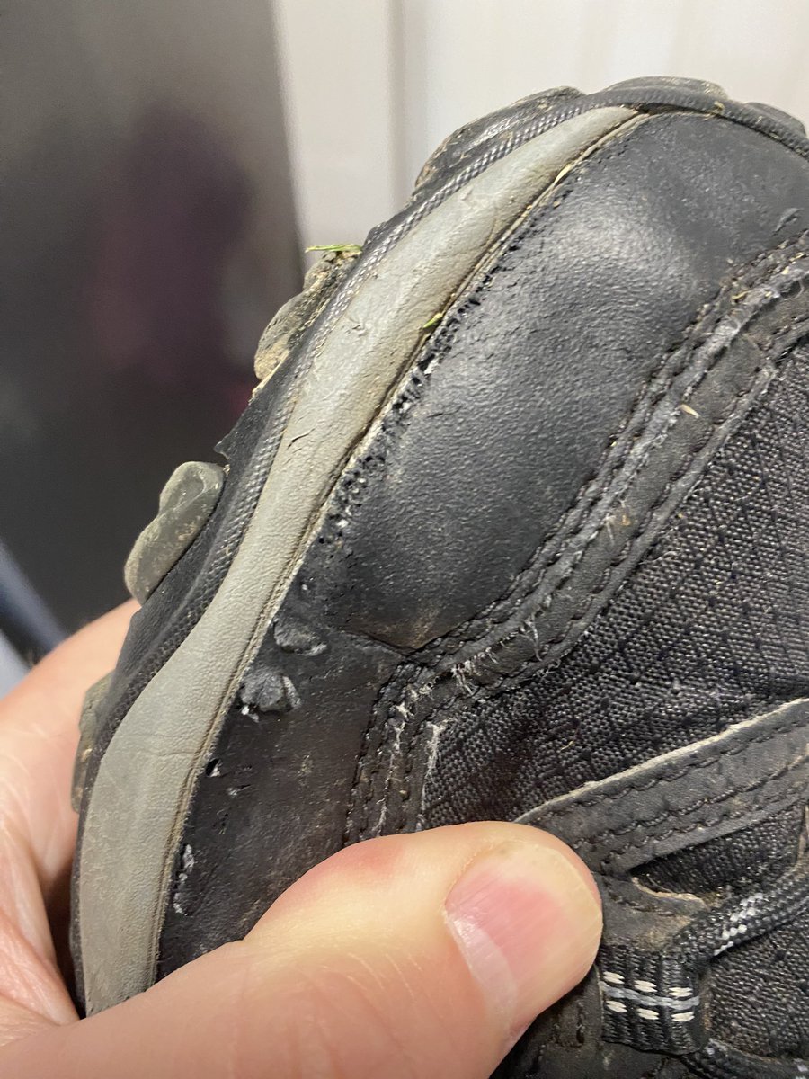 Chris Loneragan tweet media