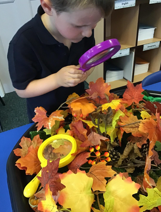 shipley_ce's tweet photo. Exploring the autumn tuff tray in Year 1 @WeAreBDAT #autumn #leaves #provision #year1 #learninghook #investigate #explore #enquiry https://t.co/Wc0LQ91nKl