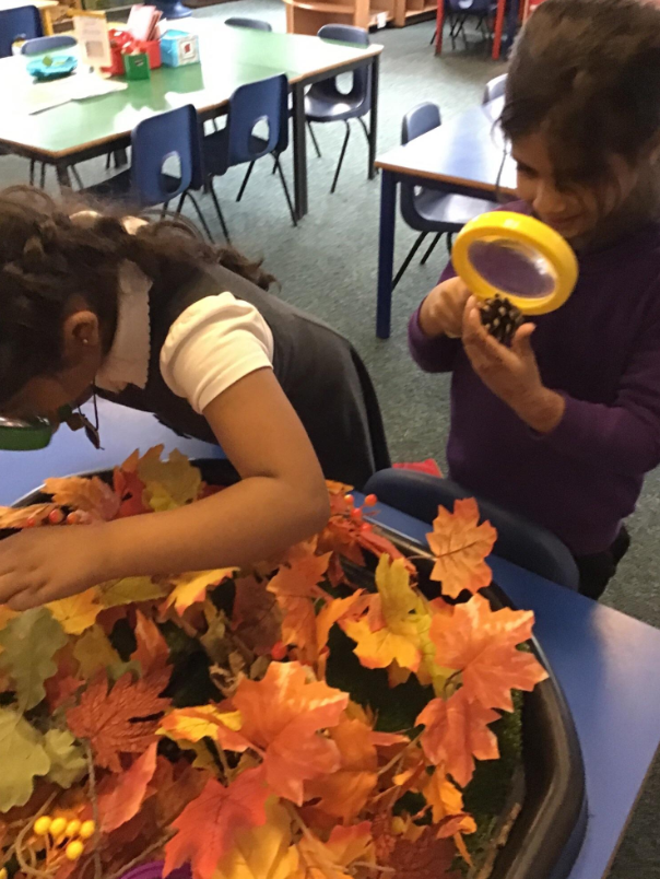 shipley_ce's tweet photo. Exploring the autumn tuff tray in Year 1 @WeAreBDAT #autumn #leaves #provision #year1 #learninghook #investigate #explore #enquiry https://t.co/Wc0LQ91nKl