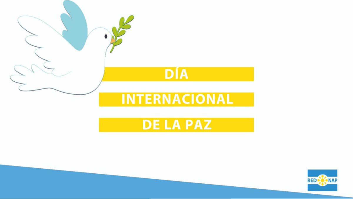 🎗️En el Día Internacional de la Paz, nos unimos a la reflexión sobre la democracia y la libertad, pilares fundamentales de la paz mundial, para el desarrollo social y económico de un mundo más equitativo y sostenible.
#díainternacionaldelapaz #inclusiónsocial   #rednapenacción🙌