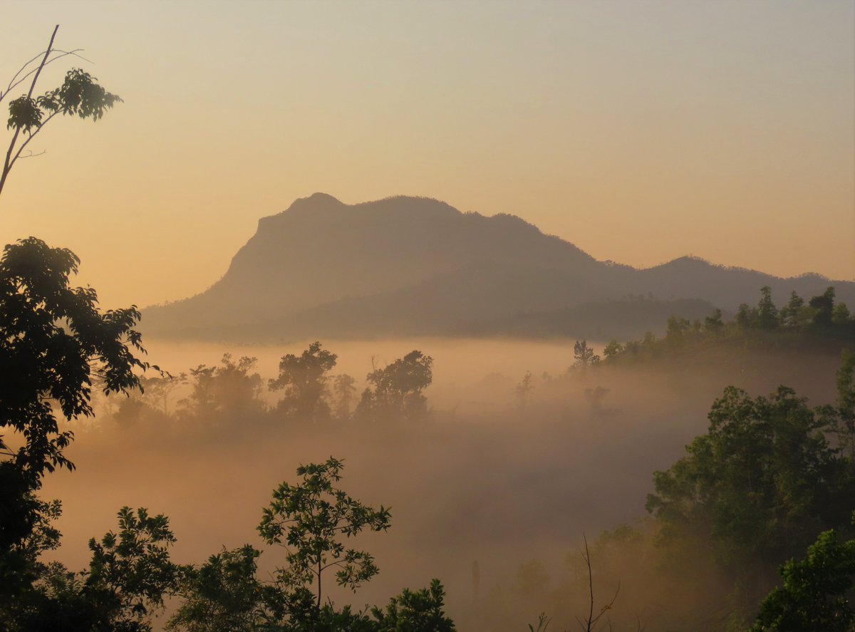tommartin2013's tweet photo. Recently back from the very successful  #BangorMadagascar2023 field course. Lots of first-class wildlife and a great experience for staff and students! @BangorSNS https://t.co/xGRavIurjK