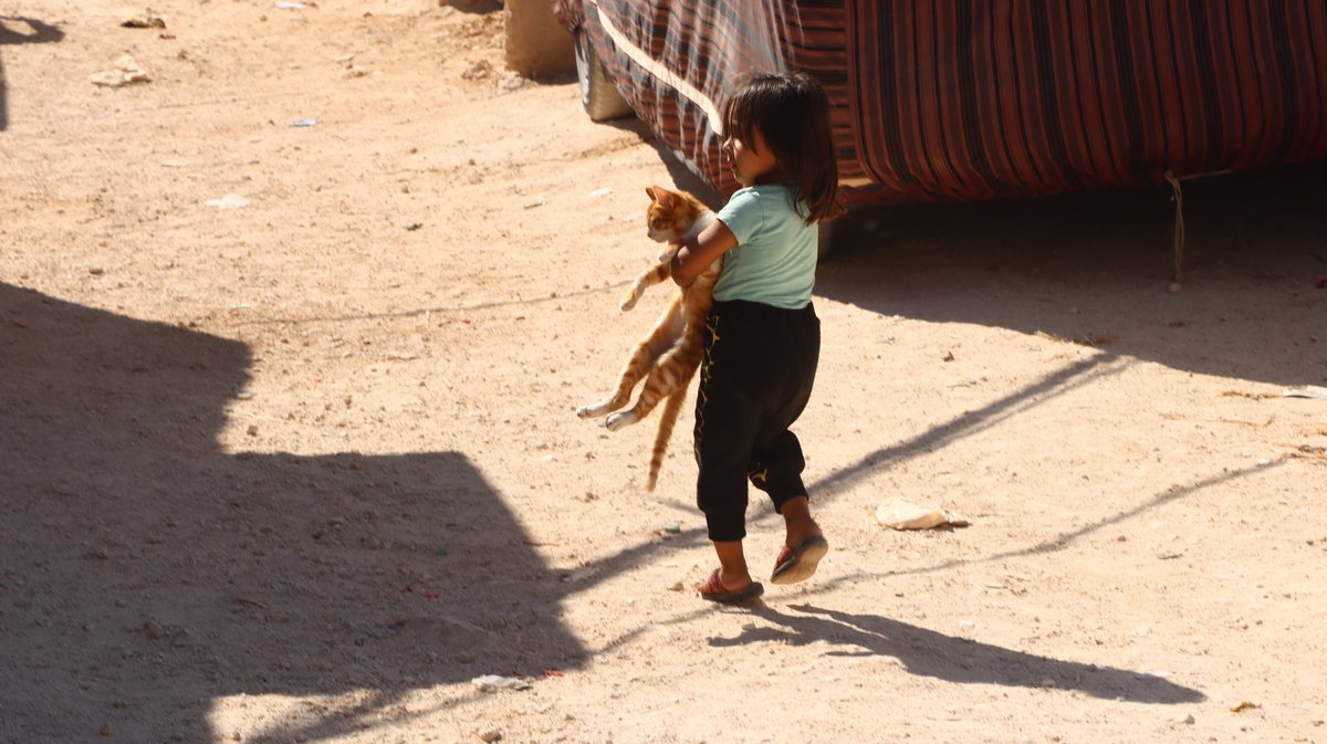In the midst of displacement in a camp near Saraqib, north of #Idlib, Sireen finds solace with her beloved kitty.
#Syria
