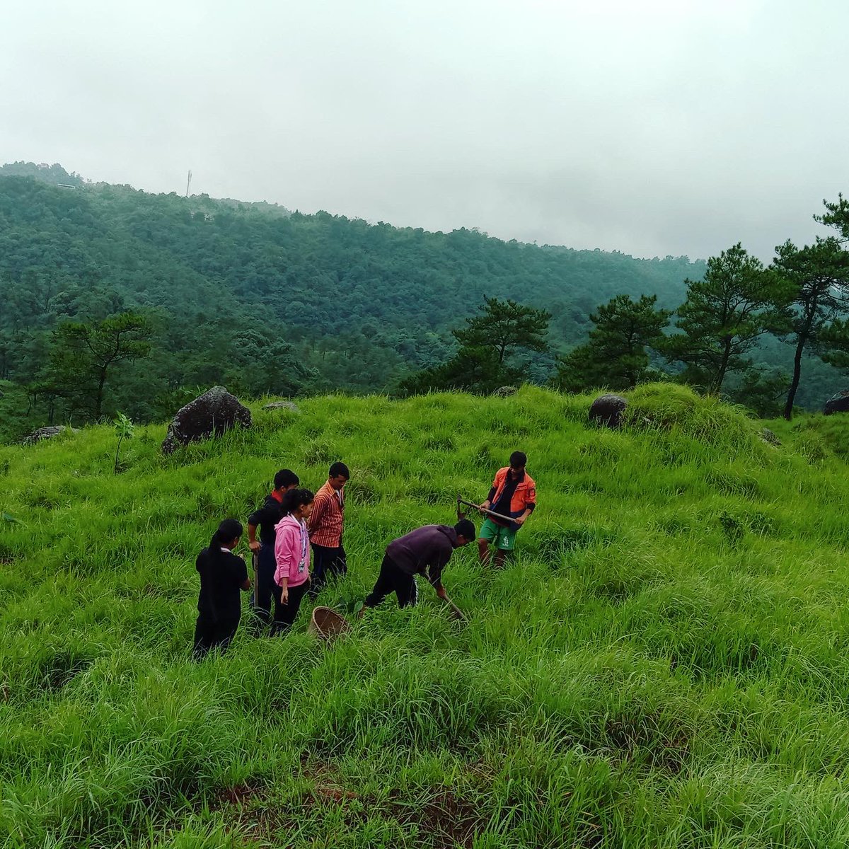 GTFmeghalaya's tweet photo. #WKHD
No Trees🌳 Means No Rain🌨️
***Only One 🌏*** One 🌳, One Life! #EveryDayIsWorldEnvironmentDay
➖➖➖➖➖➖➖➖➖➖
#forest #river #wildlife #meghalaya #environment #greentechfoundationmeghalaya https://t.co/9jKRd9D9e6