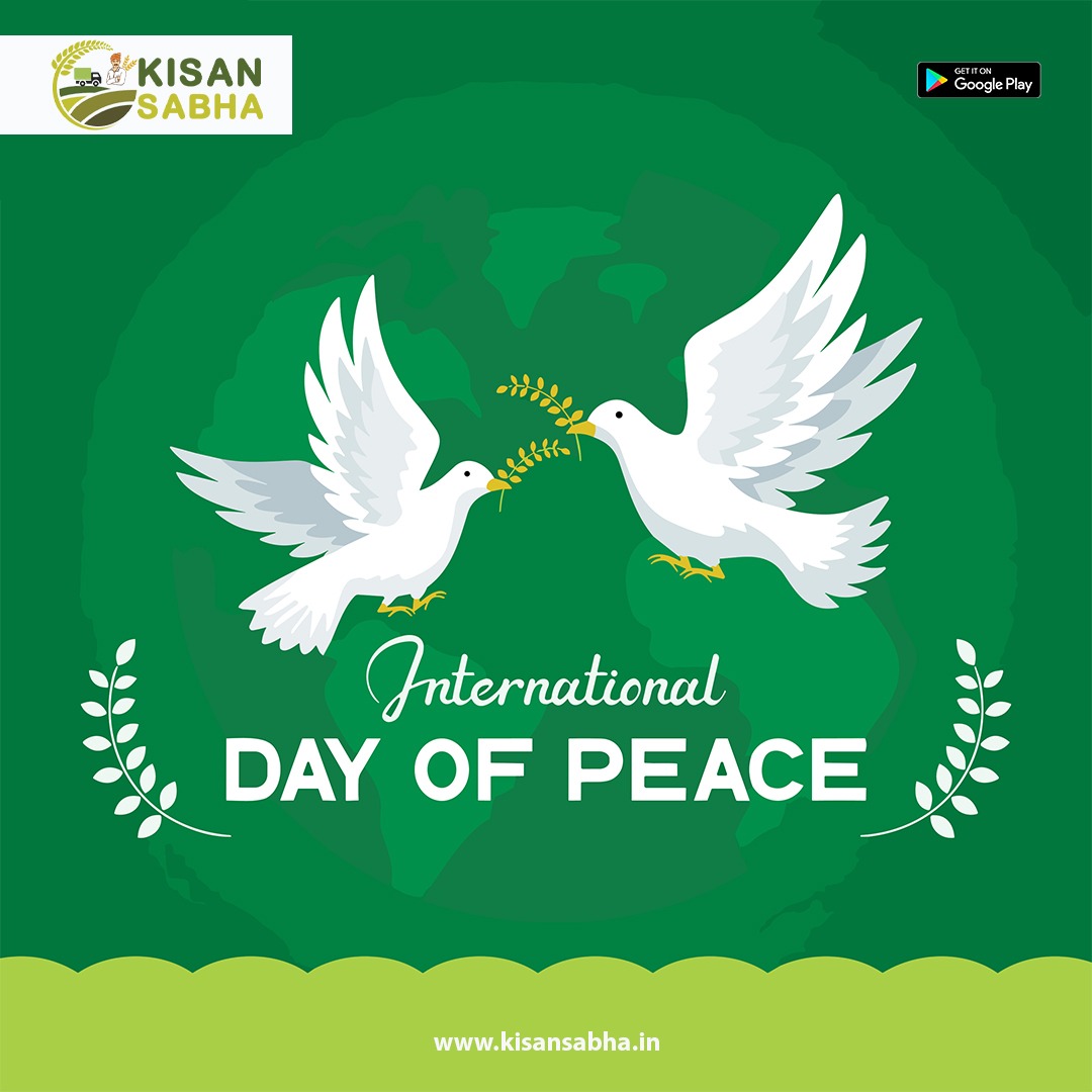 KisanSabha1's tweet photo. On International Day of Peace, let's unite for a world free from conflict and violence. Together, we can build a future of harmony and compassion. ☮️💙
#InternationalDayOfPeace #PeaceDay #peacemind #kisansabha https://t.co/2ZjNWyxwzG