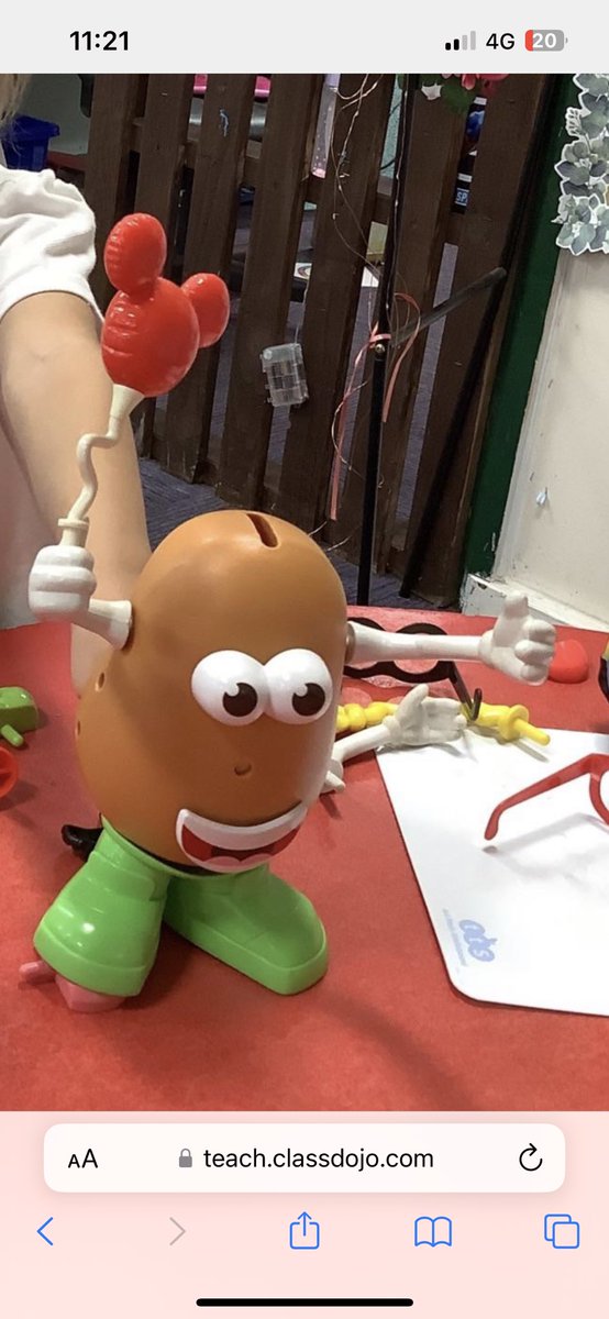 Capcoch Primary tweet media