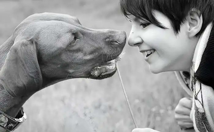 NotaBeneOne's tweet photo. Study from Eötvös Loránd Univ: Dogs respond more to female speech, mirroring infants' cognitive patterns. A result of domestication? Dive deeper into our bond with dogs!🐶🧠 
#CaninePsychology #PetCommunication #DogResearch 
https://t.co/VJFHMghW6B https://t.co/bQHlRezjho