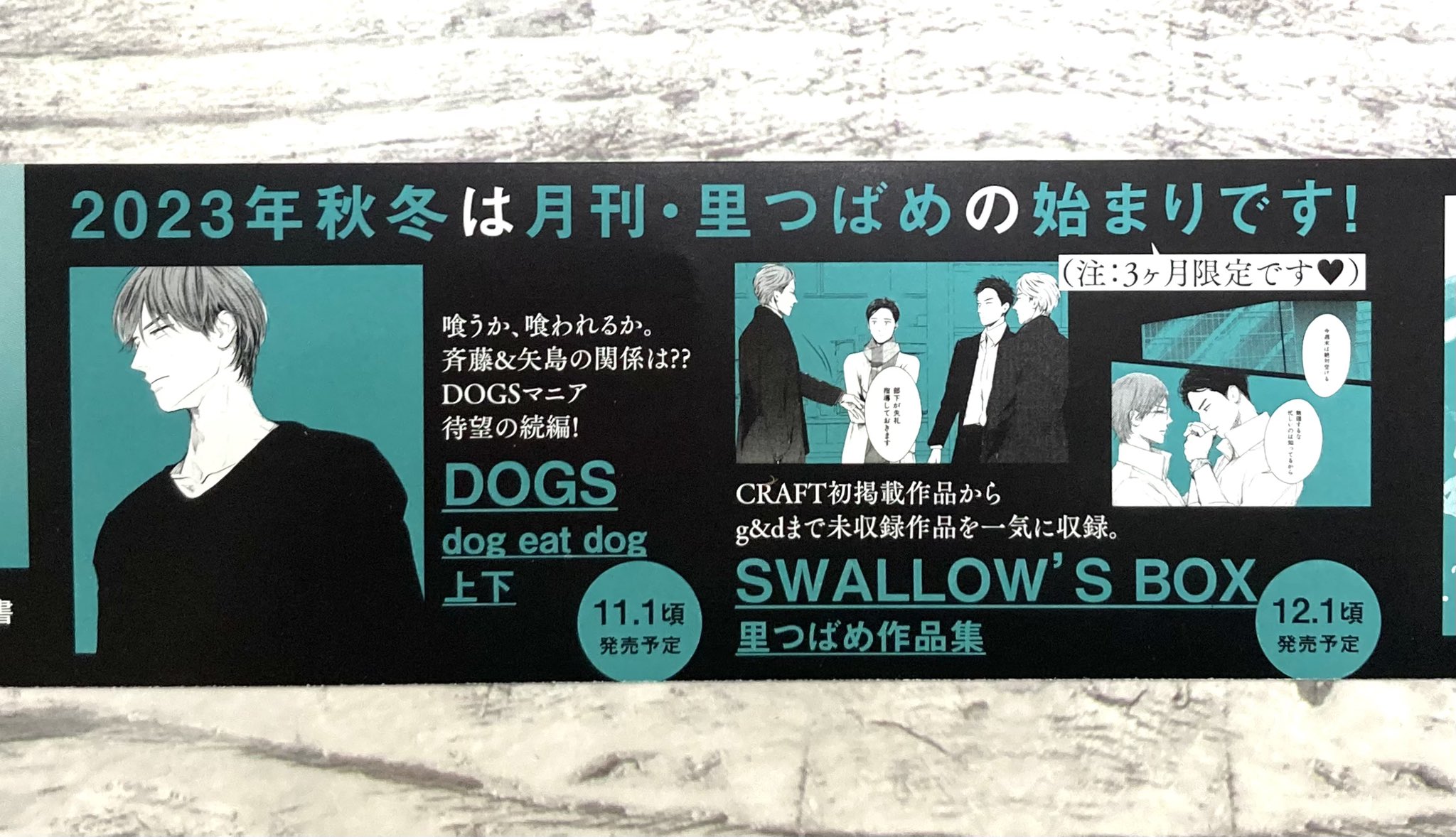 大洋図書/bs-garden(軟式) в X: „g&dマニア、俺好きファンの 大洋図書/bs-garden(軟式) в X: „g&dマニア、俺好きファンの