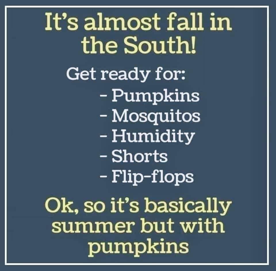 Russ Webb ✌🏻 tweet media