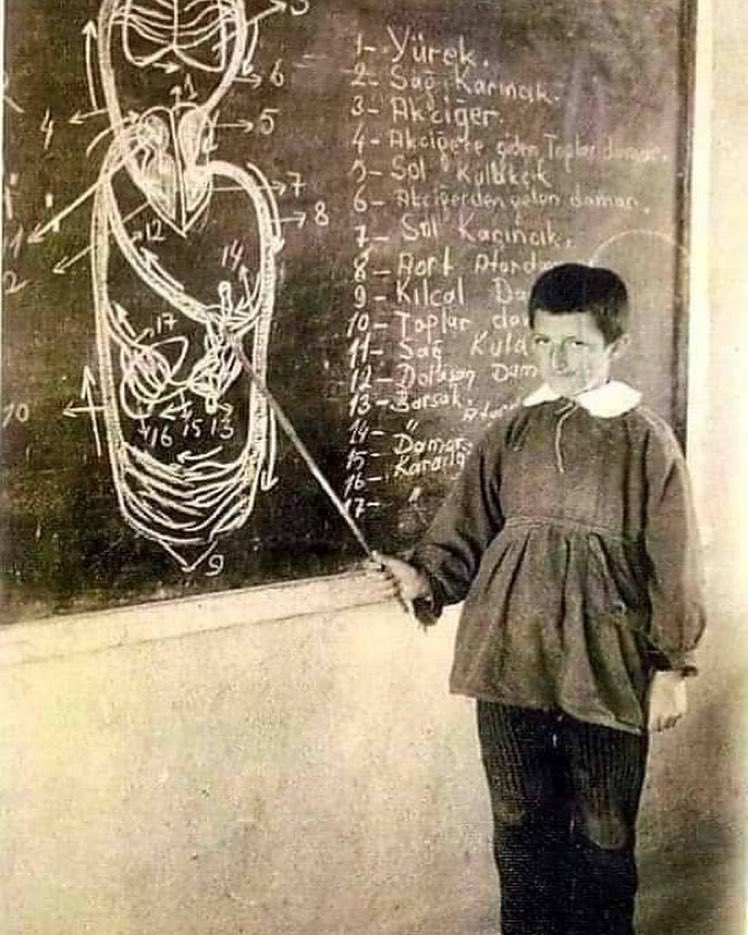 1971; bir ilkokul öğrencisi, fen bilgisi dersinde…
