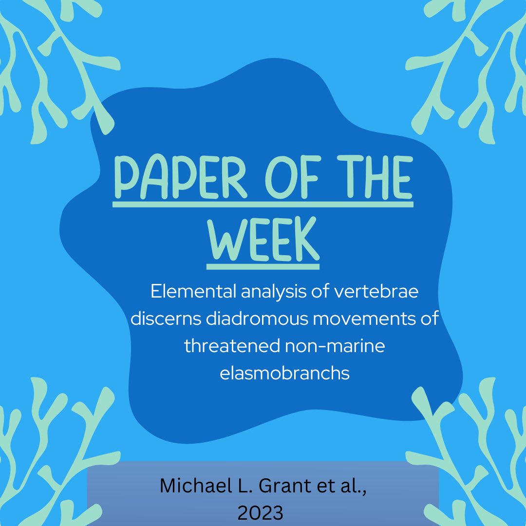 New paper alert 🔔

By some of our very own lab members <a href="/MickkGrant/">mickgrant.bsky.social</a> @spinnershark7 !!

onlinelibrary.wiley.com/doi/10.1111/jf…

#sharks #sharkscience #fishandfisherieslab