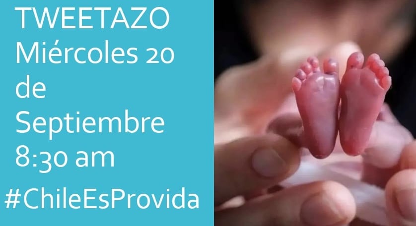 Francis25830521's tweet photo. Hoy, 8:30 #ChileEsProvida https://t.co/Uig4zO5T5Y
