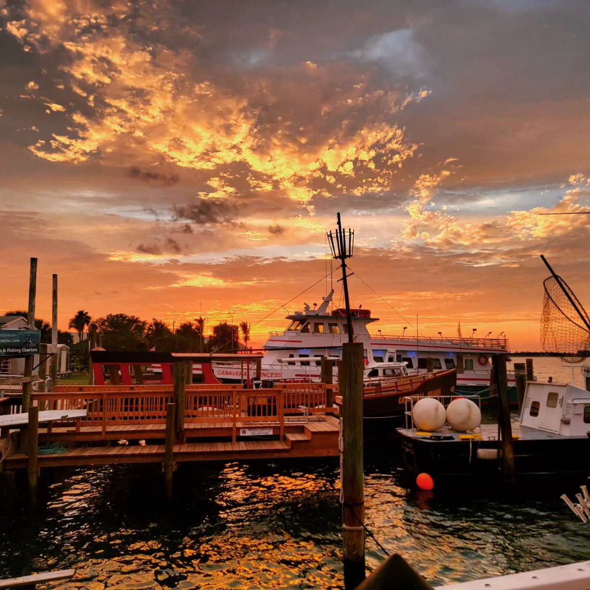 RustysInThePort's tweet photo. Tonight's stunning sunset pics courtesy of Nick Greenwell... at Rusty's at the Port!! 😎👍📸🌅🚢🌴 #sunsetstyle #sunsetsarebest #decklife #rustyspeeps #rustysfam #rustysseafood #portcanaveral https://t.co/oKZJi2DoxM