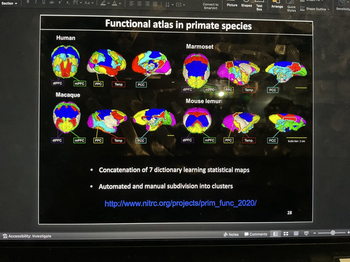 katjaQheuer's tweet photo. Structural and functional hallmarks of mammalian brain evolution by @garincle . Fantastic presentation involving work on lots of functional and anatomical atlases across species

#compMRI @R3RT0 @NeuroecologyLab @AssafLab https://t.co/TsIAAnqjXr