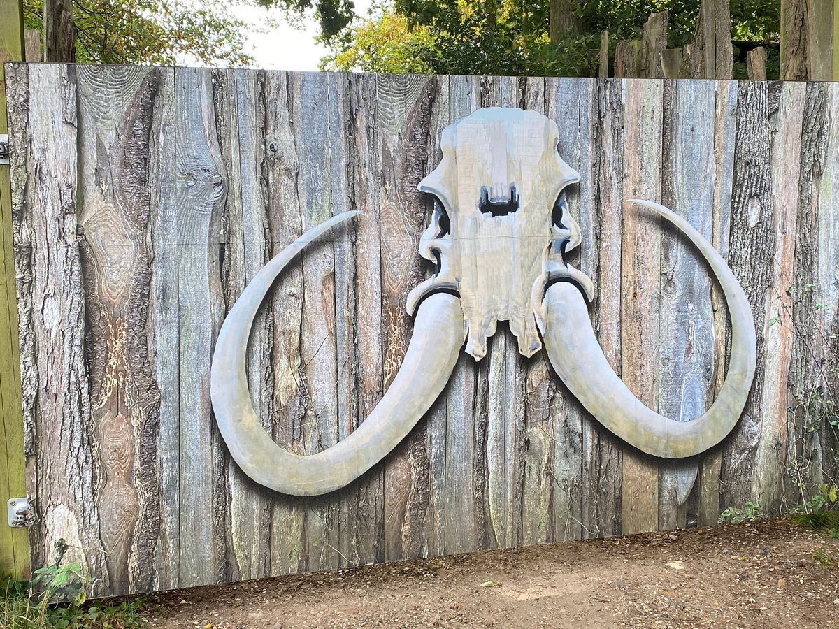 Year 3 have arrived at Celtic Harmony, and time-warped back to the Stone Age as they stepped through the gates. An exciting day of hunting, gathering, trading and forest survival lies in store!